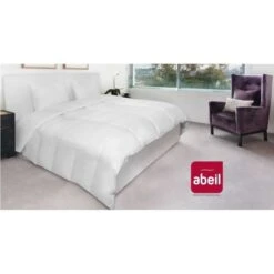 ABEIL Couette Naturelle Duvet & Plumettes 220x240 Cm Blanc -Vente De Chambre abeil couette naturelle duvet plumettes 220x240 cm blanc 3087880016762 513762