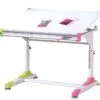 Bureau Enfant Inclinable Bois Blanc Déco Rose Et Vert Colo