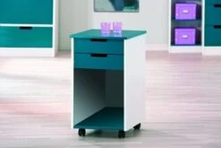 Caisson à Roulettes Vert Alexandra