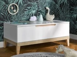 Coffre à Jouets Bois Blanc Et Hêtre Clair Evidence