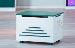 Coffre à Jouets Vert Alexandre -Vente De Chambre coffre a jouets vert alexandre 4010340270304 9610