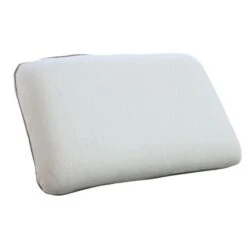 L'UNIVERS DE PAULINE Oreiller A Mémoire De Forme CHLoe 35x60cm