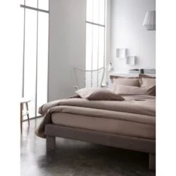 TODAY Drap Plat 100% Coton - 240x300 Cm - Mastic